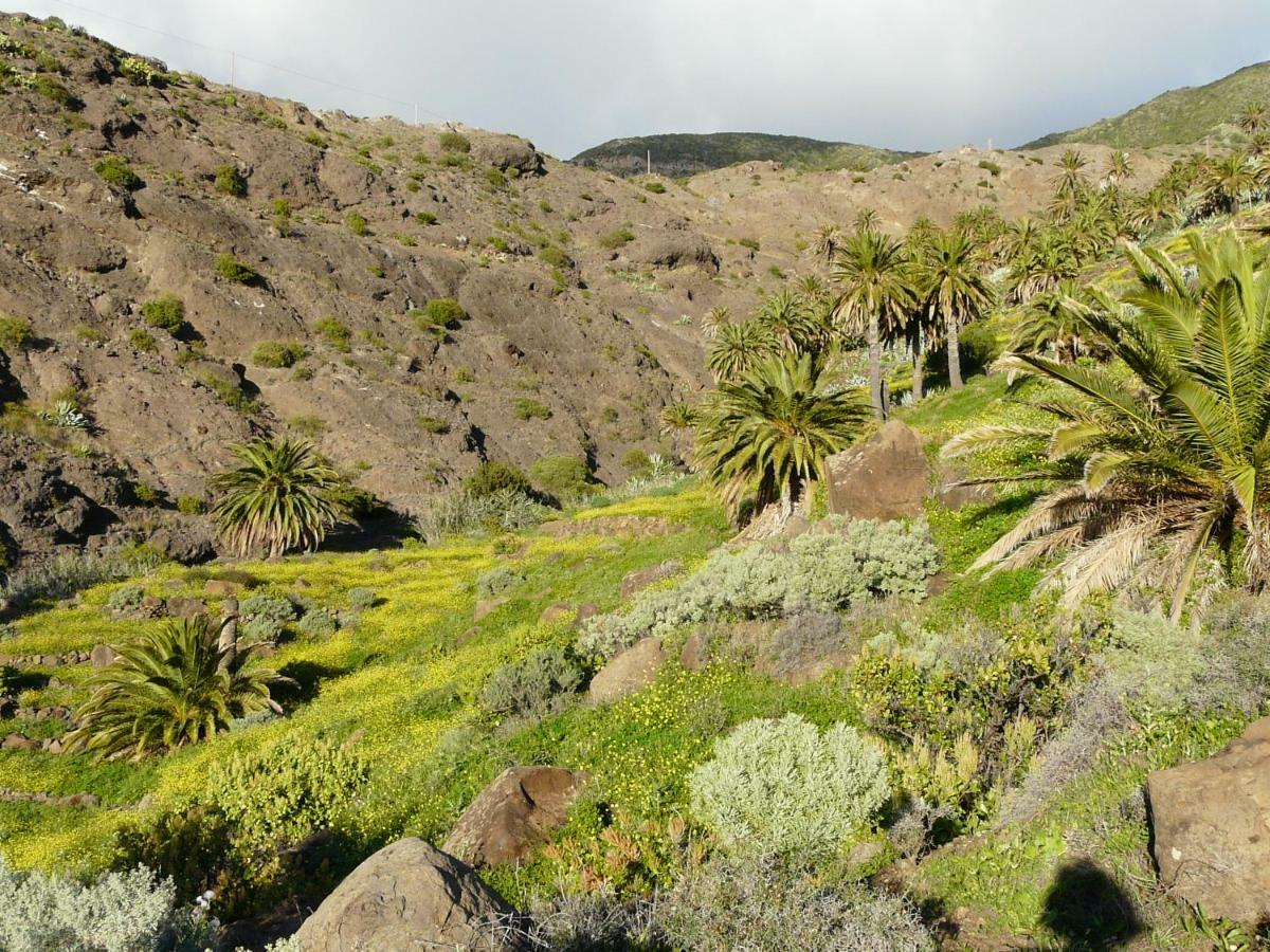 El Pirguan Holiday House, Your Oasis In La Gomera Vallehermoso Kültér fotó
