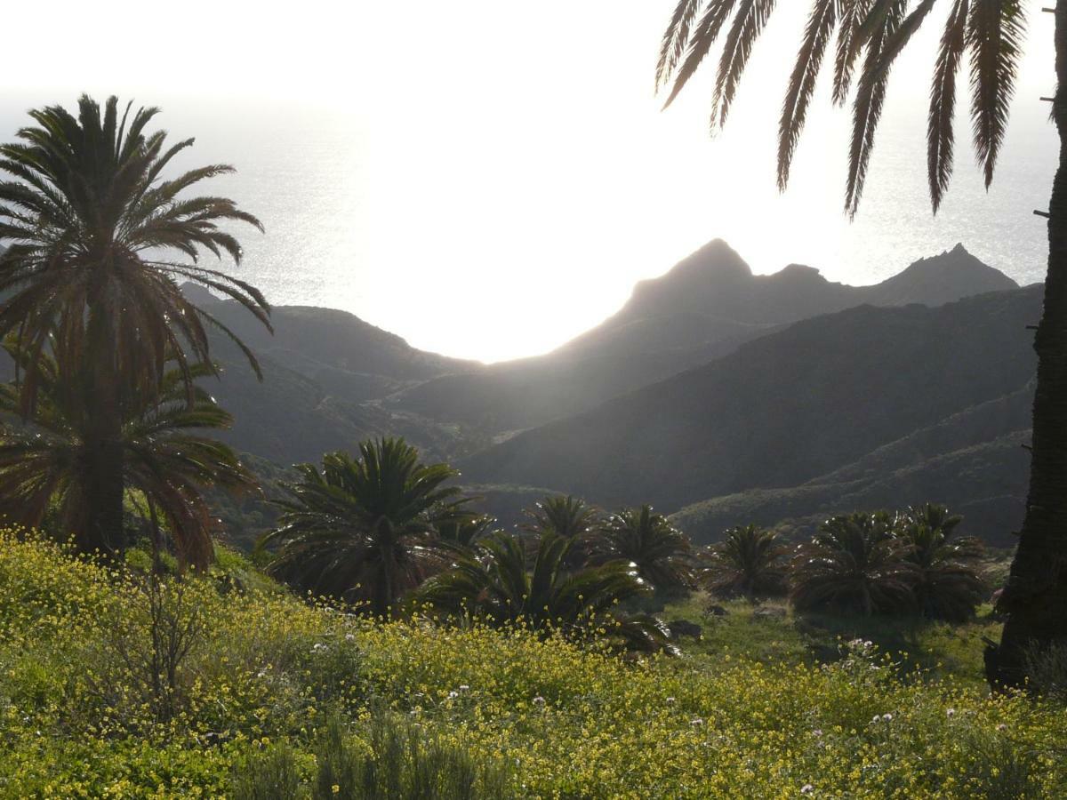 El Pirguan Holiday House, Your Oasis In La Gomera Vallehermoso Kültér fotó