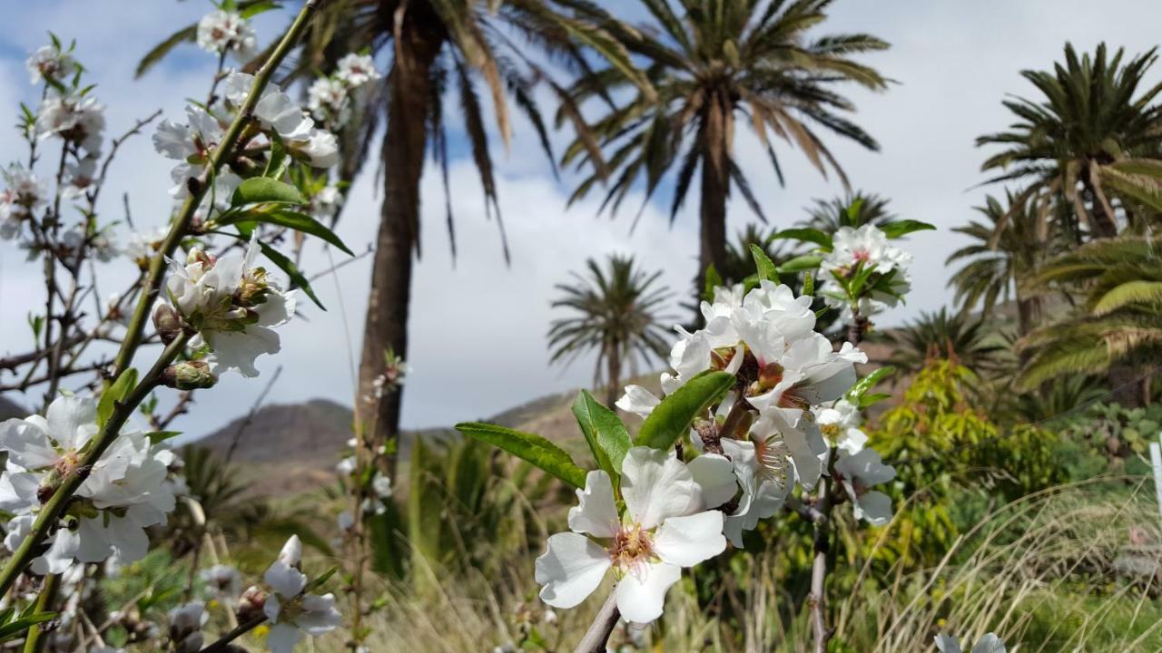 El Pirguan Holiday House, Your Oasis In La Gomera Vallehermoso Kültér fotó