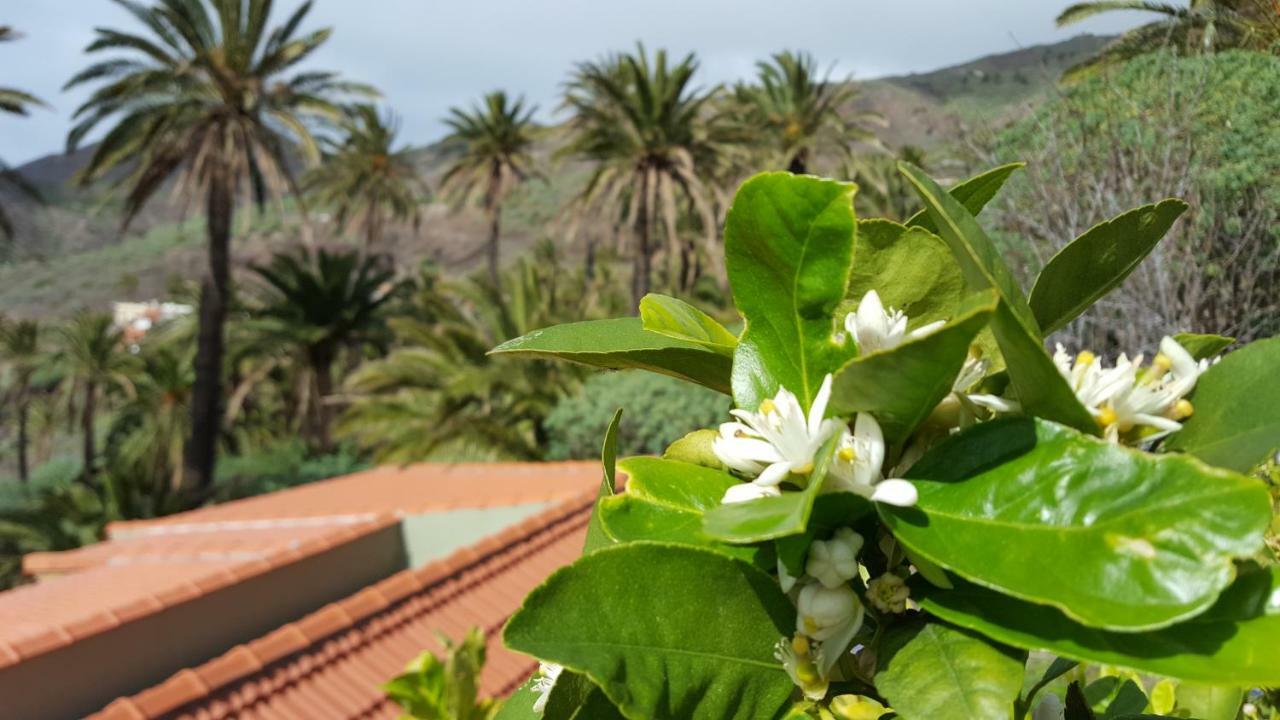 El Pirguan Holiday House, Your Oasis In La Gomera Vallehermoso Kültér fotó
