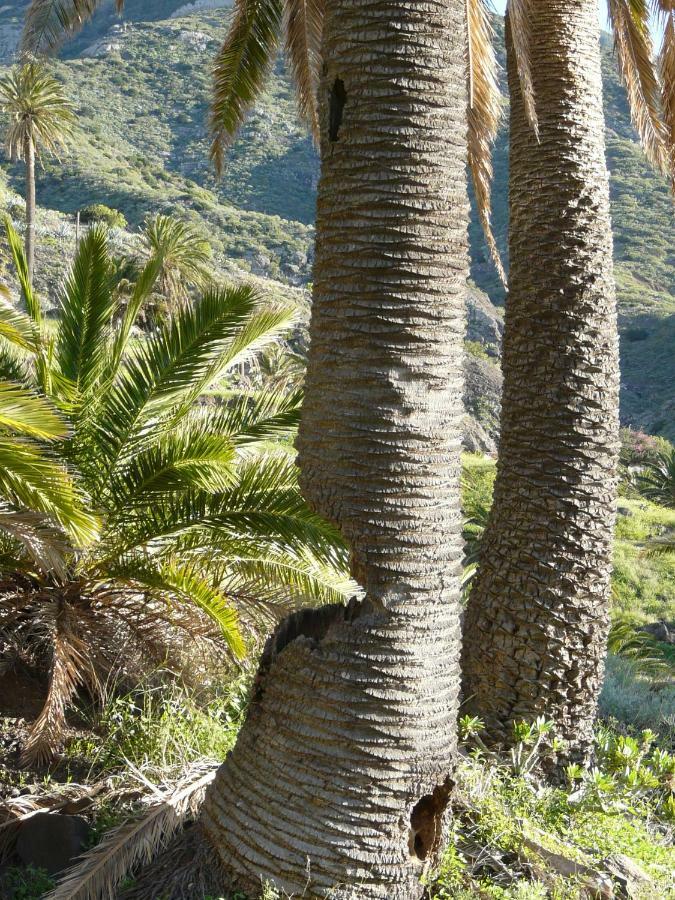 El Pirguan Holiday House, Your Oasis In La Gomera Vallehermoso Kültér fotó